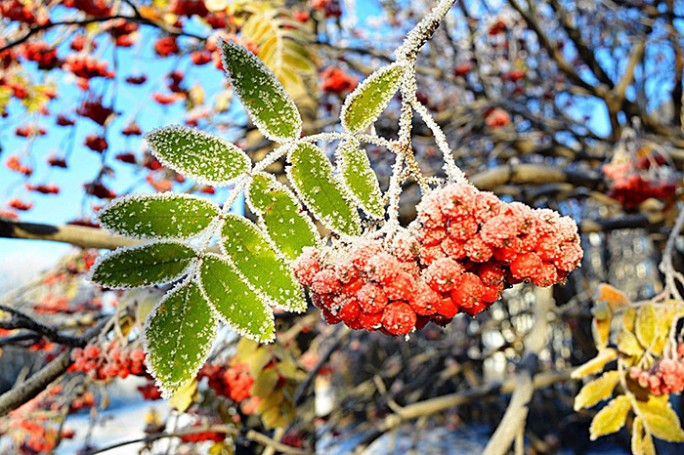 Дожди и до +15°С ожидается в Беларуси 4 ноября