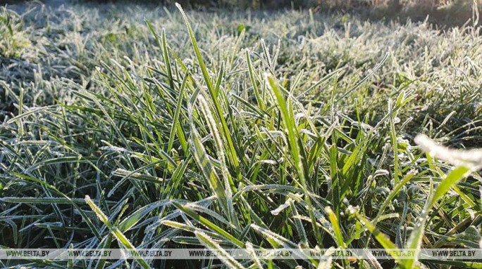 До -10°С ожидается в Беларуси на этой неделе