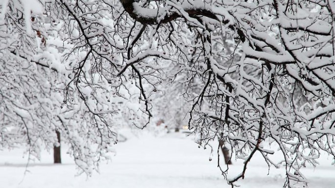 Снег и до -10°С ожидается в Беларуси в выходные