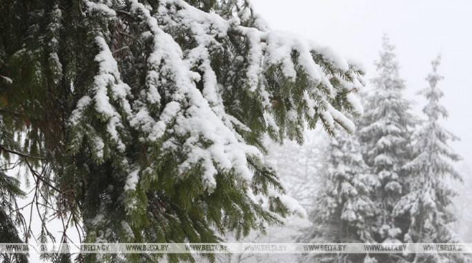 Снег и гололедица ожидаются в Беларуси 20 декабря