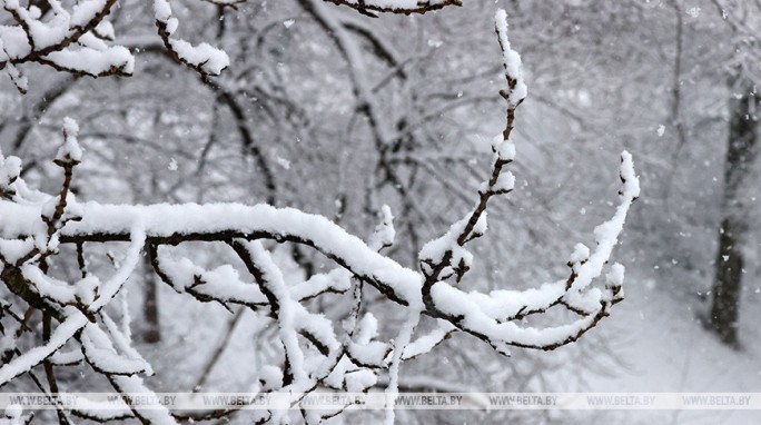 Гололедица, небольшой снег и до -20°С ожидается в Беларуси 23 декабря