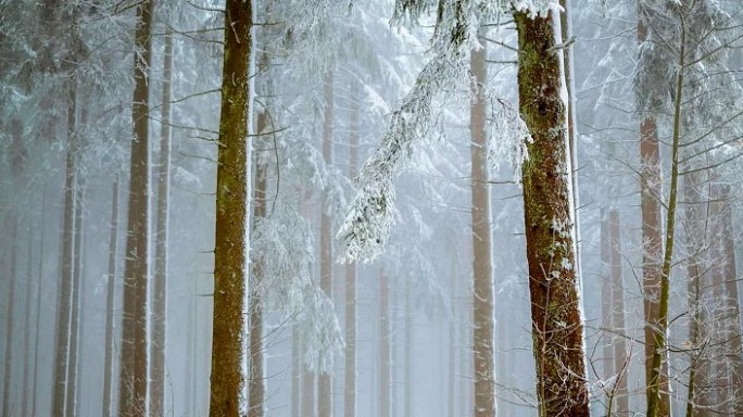 Снег и гололедица ожидаются в Беларуси 2 февраля
