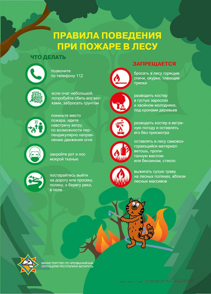 Как не заблудиться в лесу, рассказывают спасатели Мостовского РОЧС