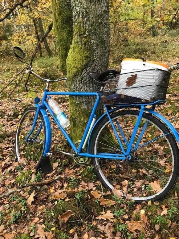 В Мостовском районе мужчина украл грибы и велосипед у собутыльника. Подозреваемый намеревался продать грибы, чтобы купить ещё выпить.