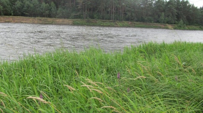 Пять человек утонули за выходные в Гродненской области