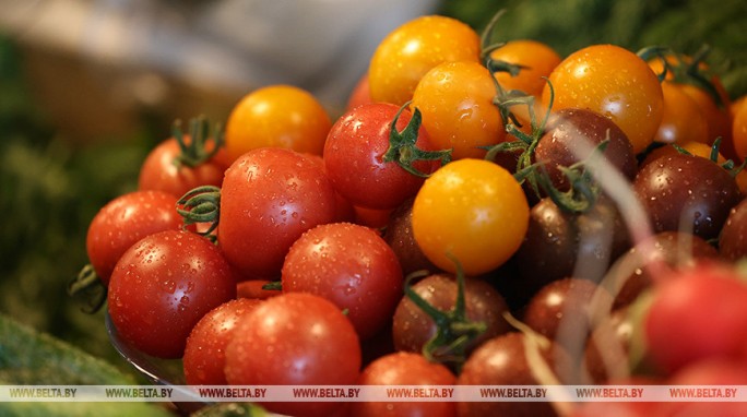 Лукашенко поручил помочь сельхозпроизводителям из регионов в продажах своей продукции в Минске