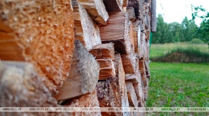 Запас древесины к отопительному сезону на складах лесхозов Беларуси составляет 1 млн куб.м