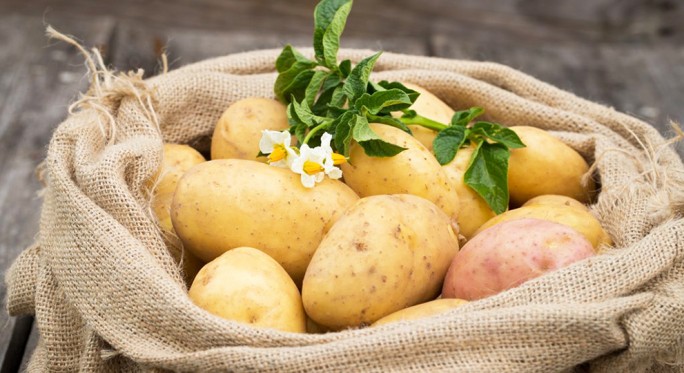 Картофель. полезные советы