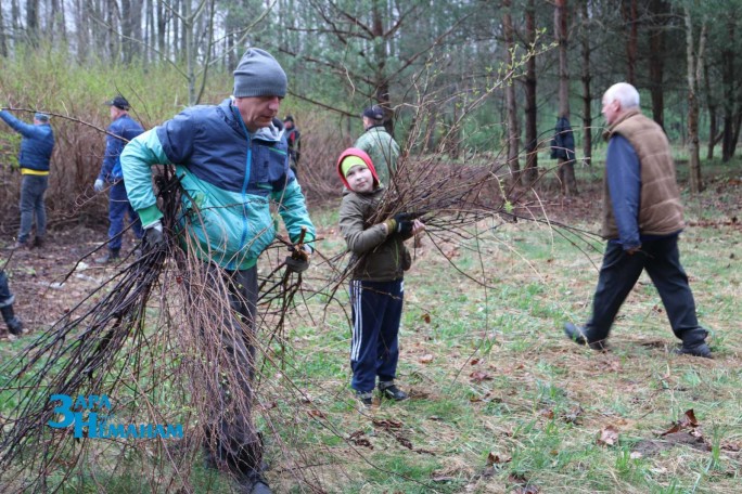 Сегодня в Мостовском дендропарке шумно и весело