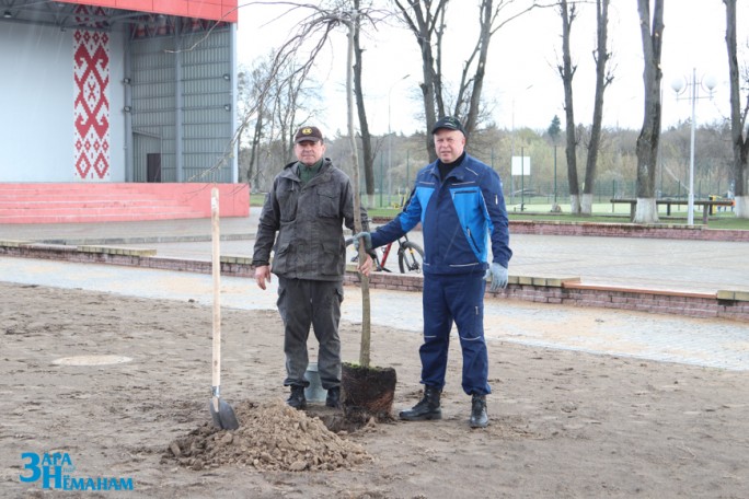 Мосты станут зеленее. В городе высаживают деревья