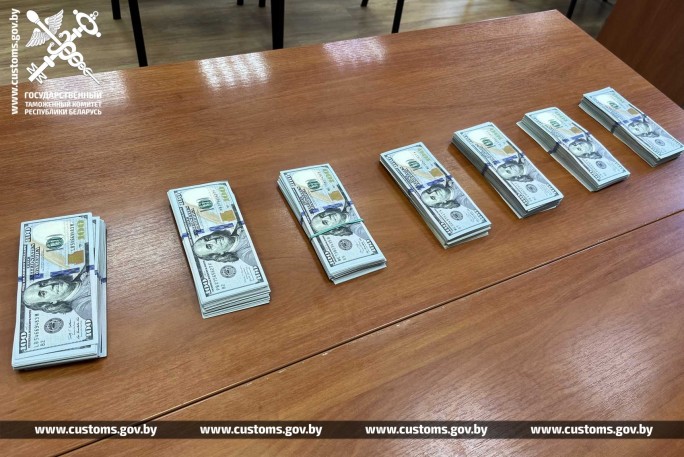 Попытка незаконно переместить через таможенную границу крупную сумму денежных средств обернулась для белоруса уголовным делом