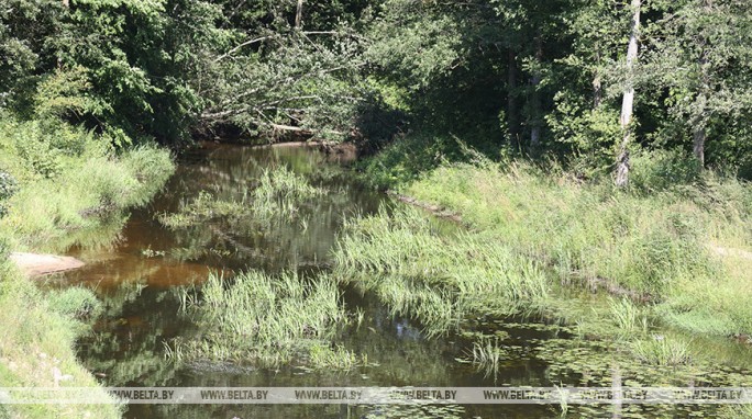 Спад уровня воды наблюдается на реках Беларуси