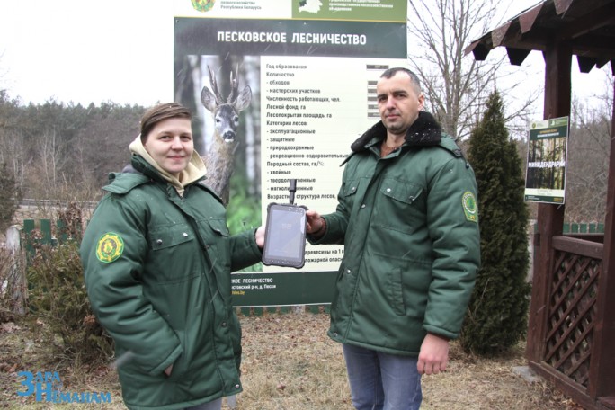 В Песковском лесничестве   работают профессионалы