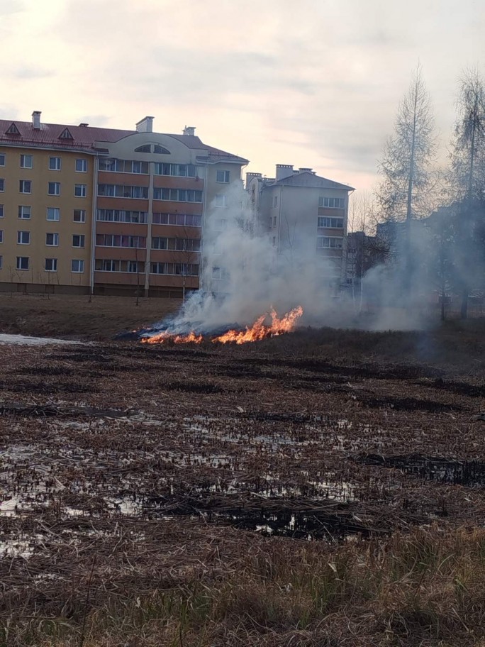 В Мостовском районе в феврале и марте текущего года зарегистрировано 16 загораний сухой растительности на общей площади 2,105 га.