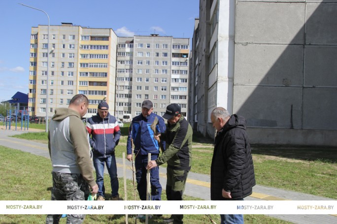 Садили липы, садили клёны. В Мостах появился ещё один сквер