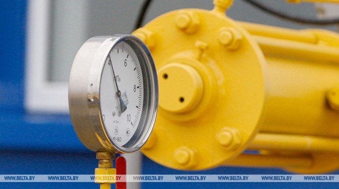 Беларусь вошла в тройку стран по доступности природного газа для населения