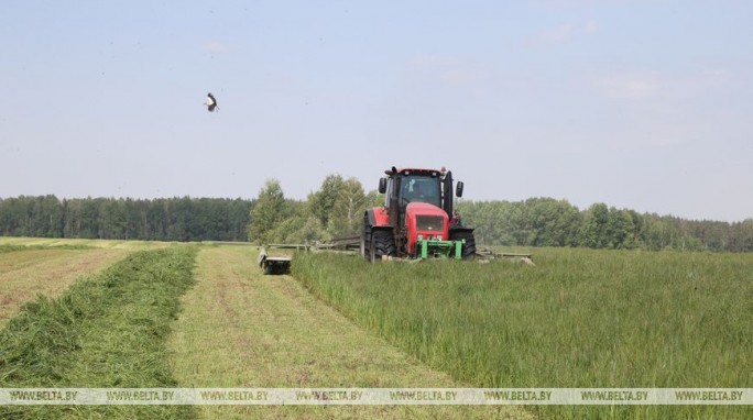 Все районы Гродненской области приступили к заготовке кормов