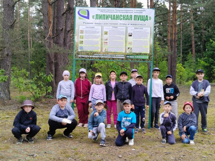 Любить природу – значит любить родину