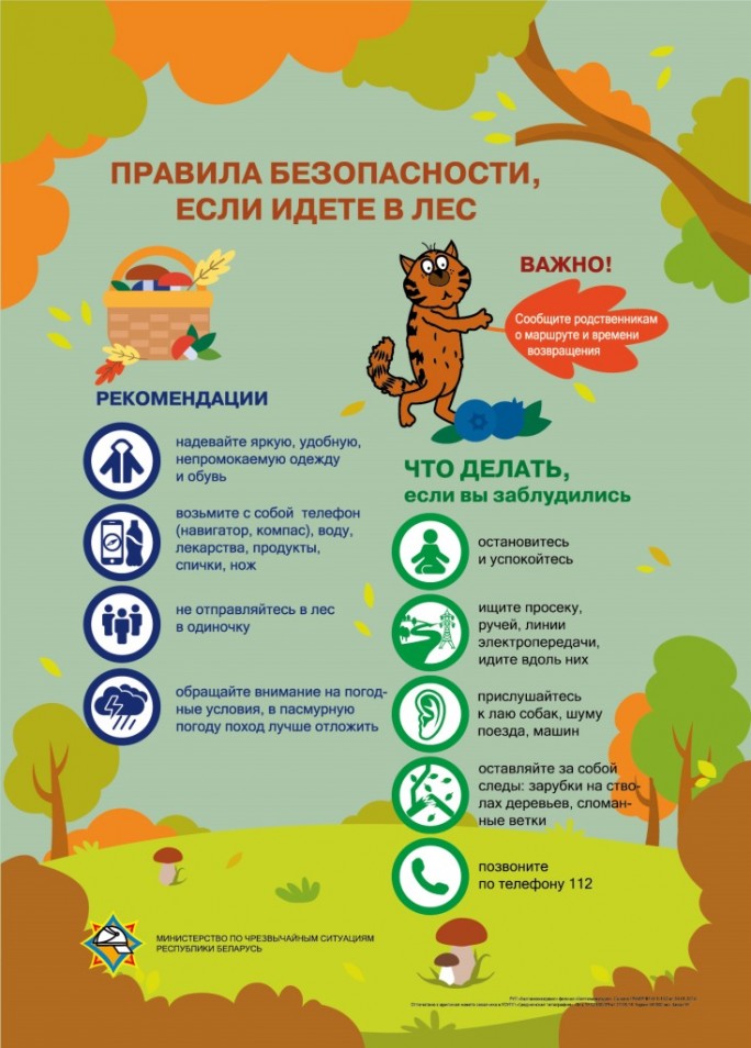 Правила поведения в лесу