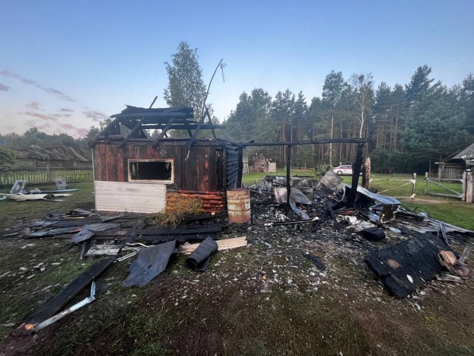 Пожар хозяйственной постройки в д. Шестилы.