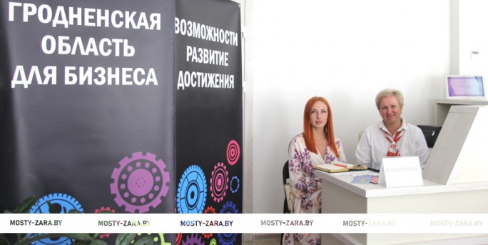 Работайте грамотно. В Мостах состоялась «Открытая приёмная для бизнеса»