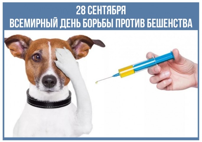 28 сентября – Всемирный день борьбы с бешенством