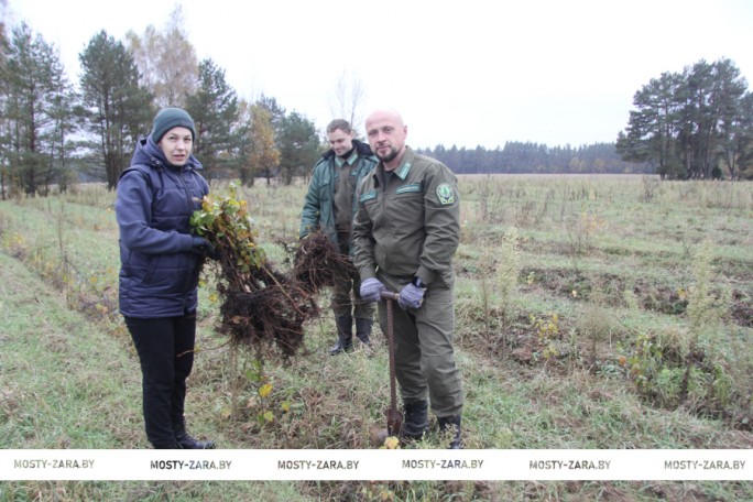 Партийный «десант» в Липичанской пуще