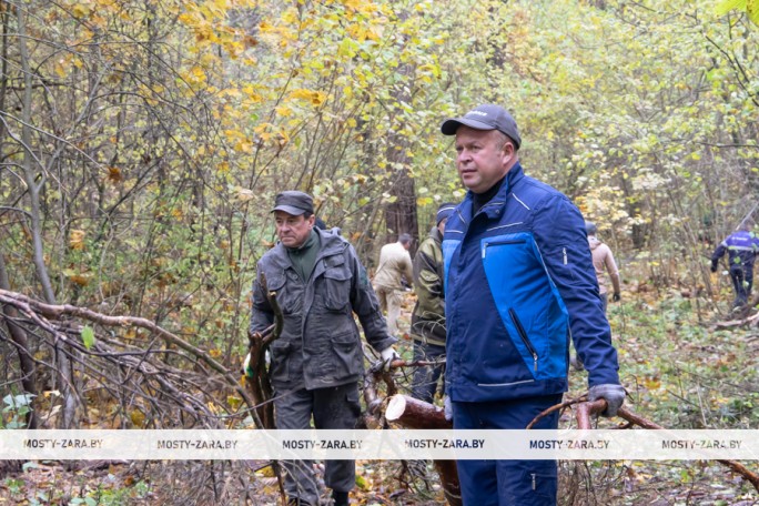 Сменили костюмы и галстуки на топоры и пилы: Мостовский райисполком наводил порядок в урочище Михайловка