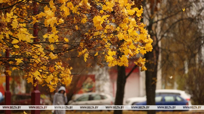 Белгидромет: до конца октября в Беларуси ожидается неустойчивая с осадками погода
