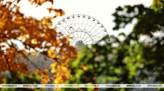 Какой будет погода в Беларуси в первые выходные ноября, рассказали синоптики