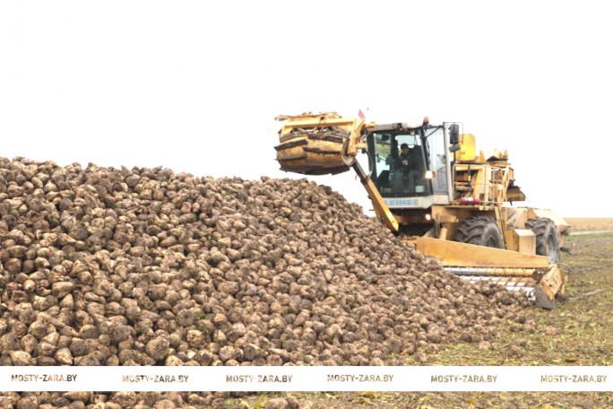 Мостовские аграрии стремятся завершить полевые работы