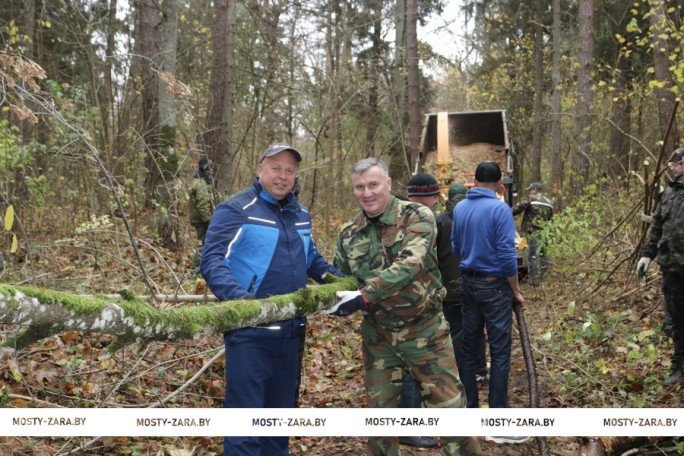 Кто прикладывает усилия, чтобы город Мосты стал краше?