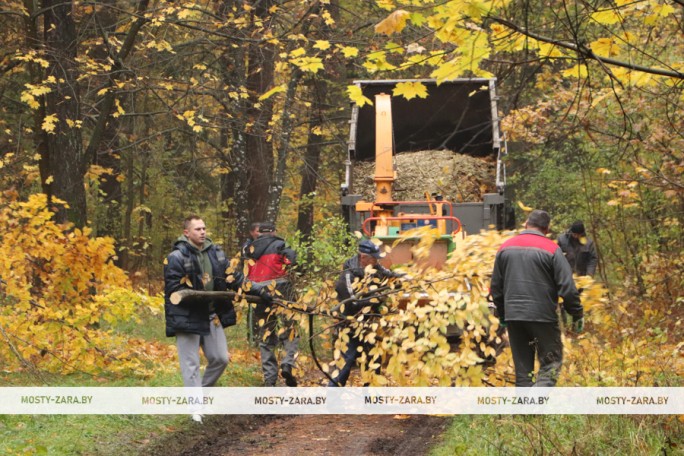 Сделать работу толокой