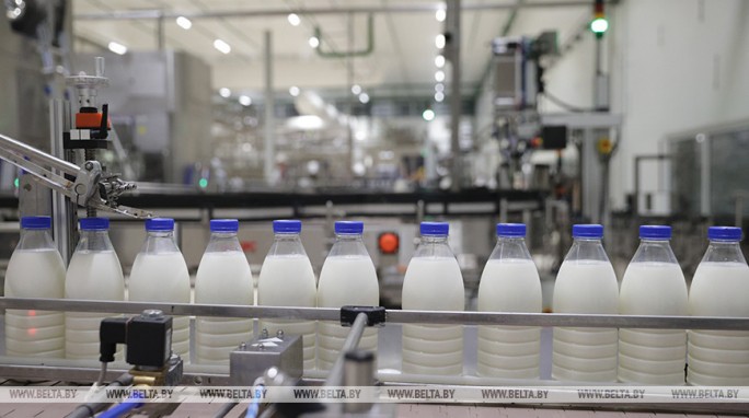 Сколько зерна, молока, мяса и овощей производят в Беларуси на душу населения, рассказали в Белстате