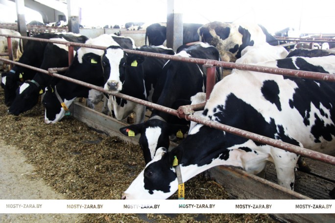 Порядок на фермах