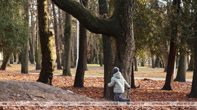 Облачно, небольшие осадки. Какой будет погода в Беларуси 20 ноября