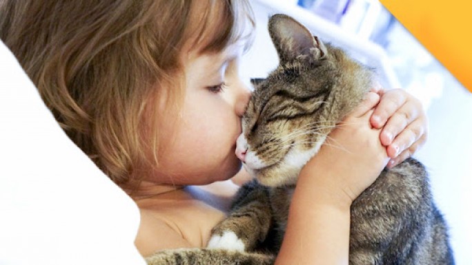 Микроспория