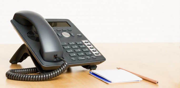 Прямая линия по лесной отрасли