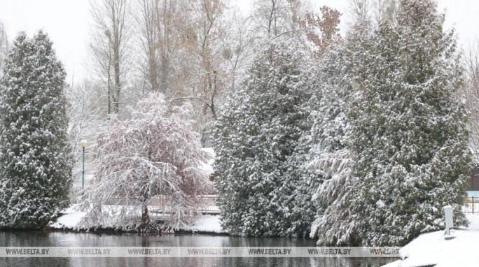 Во многих районах осадки. Какой будет погода в Беларуси 25 ноября