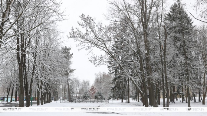 Оранжевый уровень опасности из-за сильных осадков и тумана объявлен в Беларуси 26 ноября