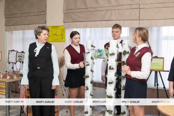 Союз физики и биологии: как в гудевичской школе собираются выращивать клубнику круглый год