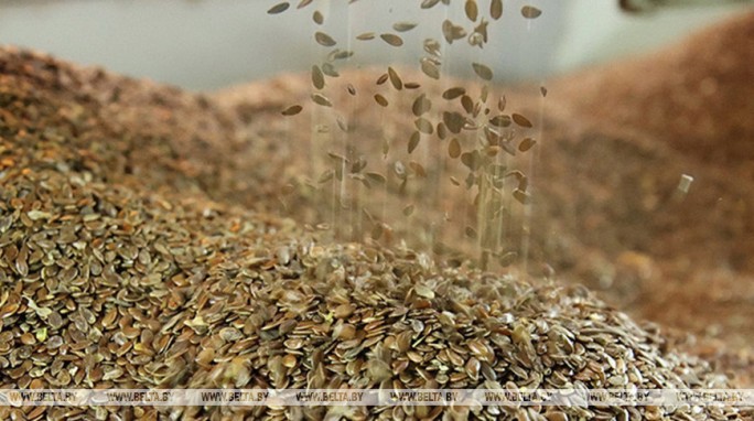 В Беларуси актуализирован порядок удешевления семян сельхозрастений