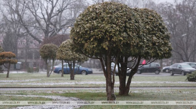 Мокрый снег, на отдельных участках дорог - гололедица. Какой будет погода в Беларуси 12 декабря