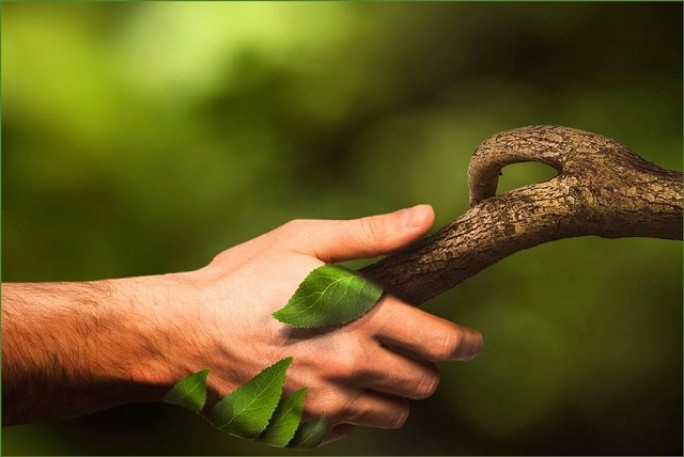 Соблюдение природоохранного законодательства находится на постоянном контроле