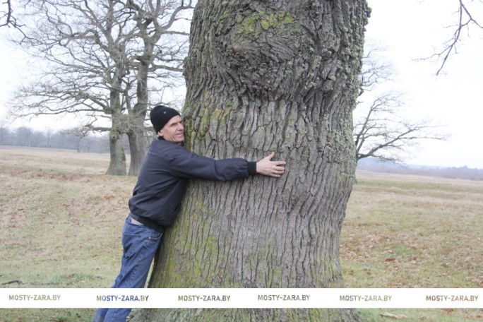 В стукаловскую дубраву в Липичанской пуще ездят  туристы. Теперь приедут и учёные