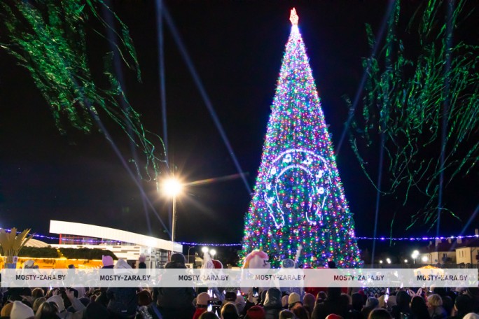 Галопом в Новый год: в Мостах торжественно зажгли огни на новогодней ёлке