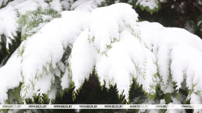 Мокрый снег и до -7°С ночью. Синоптики о погоде в Беларуси на 15 декабря