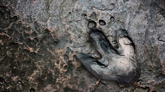 В итальянских Альпах нашли следы динозавров, которым более 200 млн лет