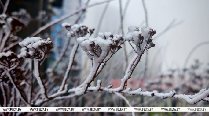Оранжевый уровень опасности из-за тумана объявлен в Беларуси 20 декабря