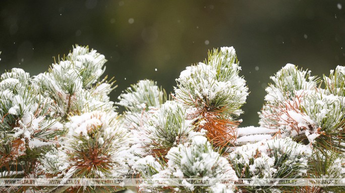 Кратковременный снег и до -12°С прогнозируется в Беларуси 23 декабря